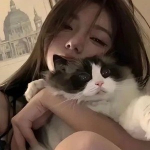 慵懒的小猫的钢琴谱