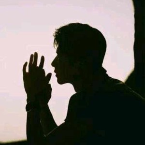 圣诞结的演奏视频