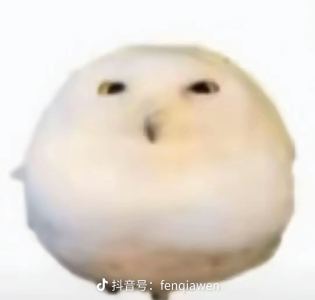 🦢🦢🦢的个人空间