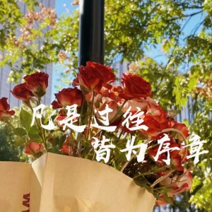 的演奏视频