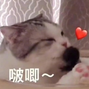 171****6127的钢琴谱