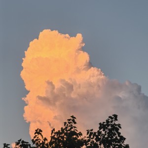 阿布嘞orz的钢琴谱