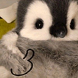 企鹅不灰灰~的钢琴谱