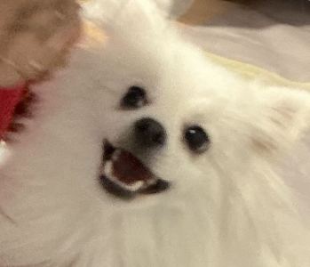 wcy喜欢练琴的个人空间