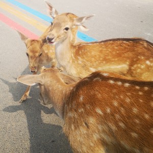 136****0666的个人空间