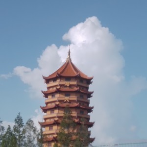 (清水阁♢:-)~的个人空间