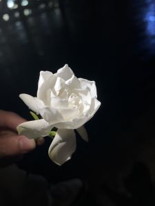 最终话的钢琴谱