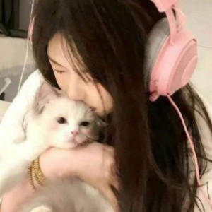 朝阳&白毯子的个人空间