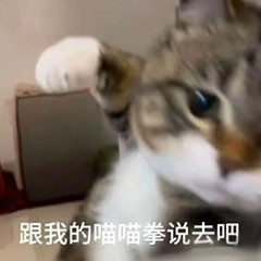 的演奏视频
