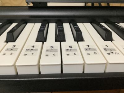 我爱写作业的个人空间