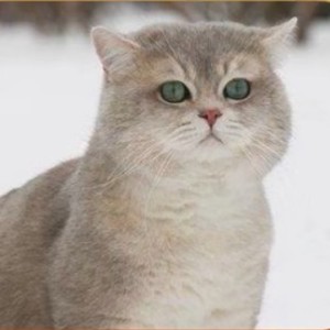 【白】漩涡鸣人的个人空间