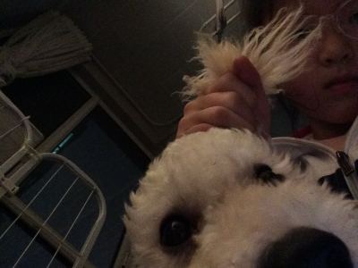 我的小狗团团🐶！的个人空间
