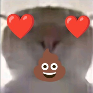 吱吱吱小吱的钢琴谱