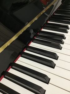 『炽焰』黑白钢琴键—支队长的个人空间