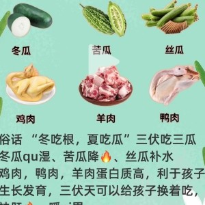 花木花木的个人空间