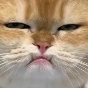 IG Theshy的钢琴谱