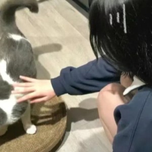 可是我总爱哭的钢琴谱