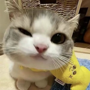 の碎碎念ᵃ的钢琴谱