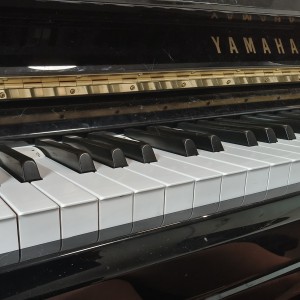 如沐春风🍃的个人空间