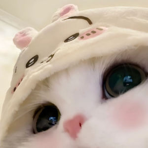 Chloe💗的钢琴谱