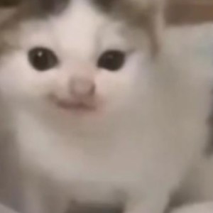 狐闹乄鸯儿画中游的钢琴谱