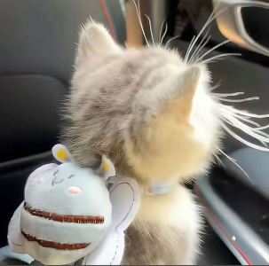 甜不溜的钢琴谱