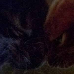 death的个人空间