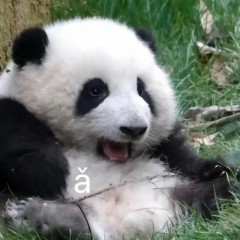158****9226的钢琴谱