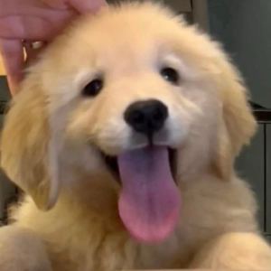 137****9487的钢琴谱