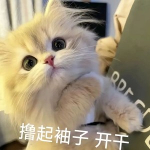 蒲谚.的钢琴谱