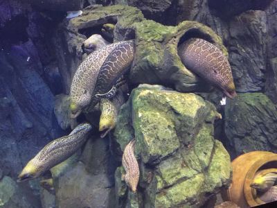 139****7650的个人空间