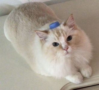 周可可的个人空间