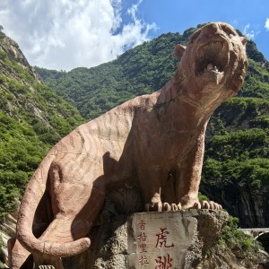 Verity的钢琴谱