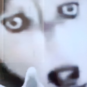 136****5680的钢琴谱