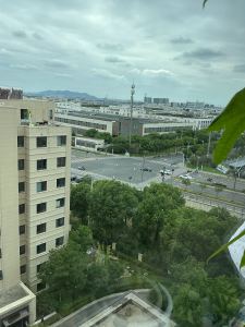 你是世上最可爱的小猫咪的钢琴谱