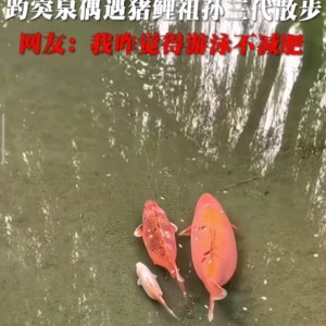 135****5010的钢琴谱