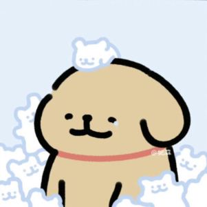 小雅姐姐的个人空间