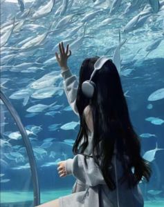 喵星的个人空间