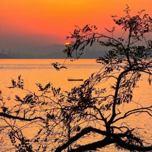 日不落的爱恋的钢琴谱