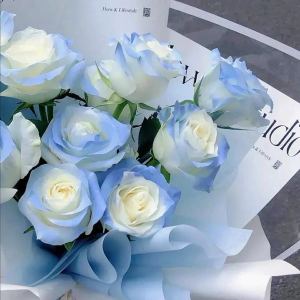 梦蓝的个人空间