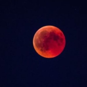 土耳其进行曲的演奏视频