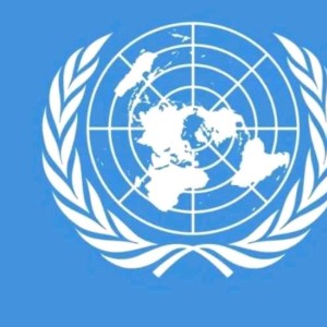 联合国UN的个人空间