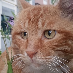 我孤立了全世界!!的个人空间