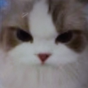 ₍₍٩( ᐛ )۶₎₎♪的钢琴谱