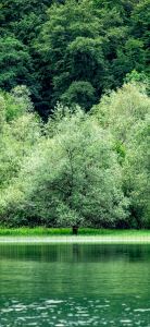 188****0484的钢琴谱