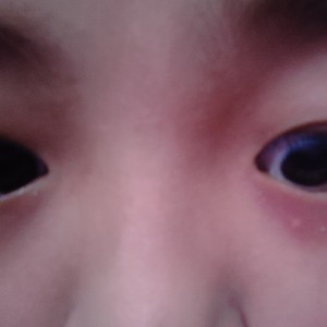狗头。的钢琴谱