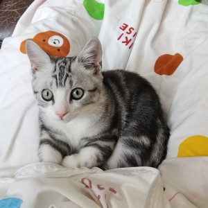 小元宝爱弹钢琴的个人空间