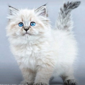 135****6810的个人空间