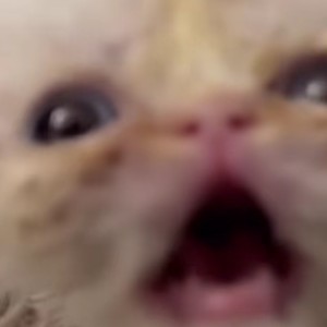 抽象这一块/:的钢琴谱