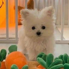 别惹我,我精神分裂症💩的个人空间